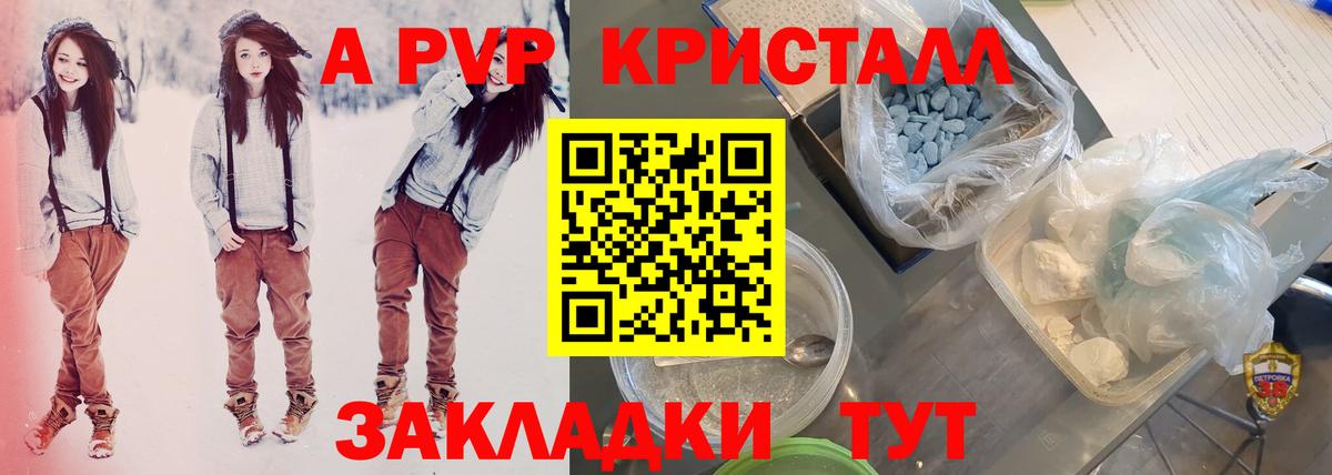Alfa_PVP СК Воронеж