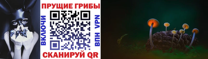 KRAKEN вход Воронеж Галлюциногенные грибы GOLDEN TEACHER