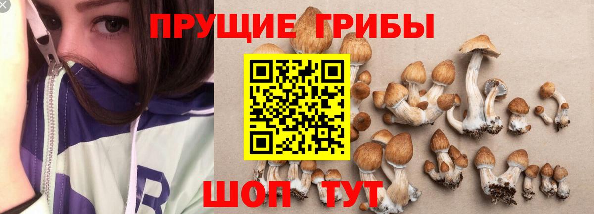 Псилоцибиновые грибы Cubensis  Вход с VPN  Воронеж 
